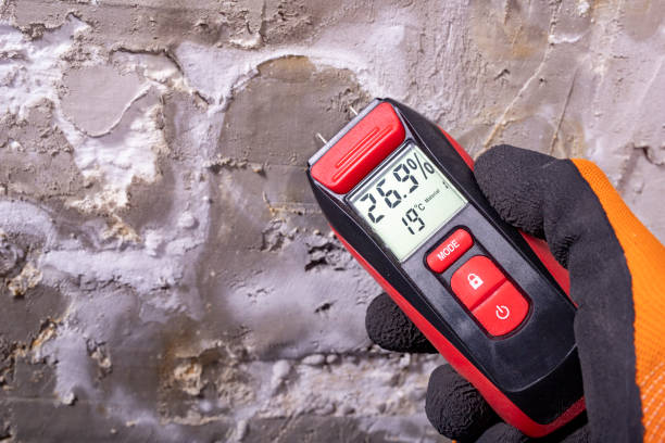 Best Emergency Mold Removal  in Hometown, PA